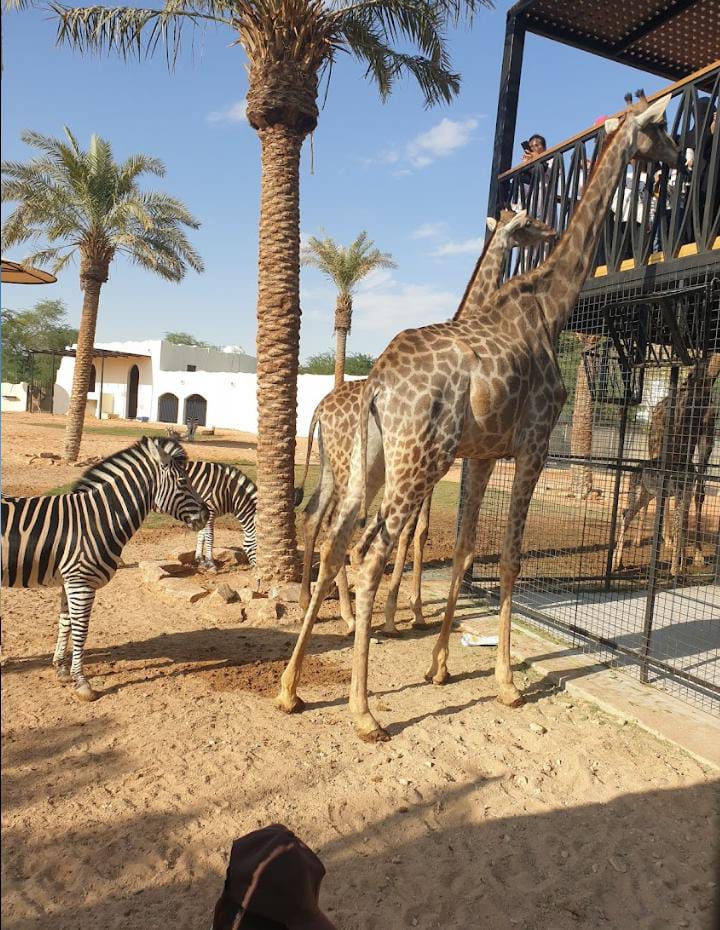 Riyadh Zoo