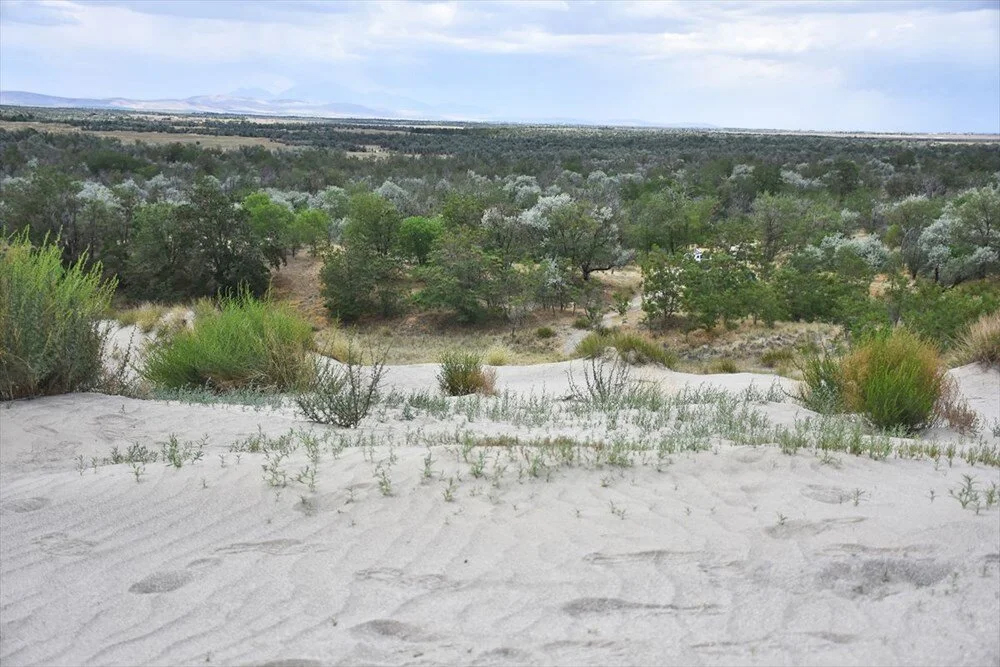 Karapinar Desert